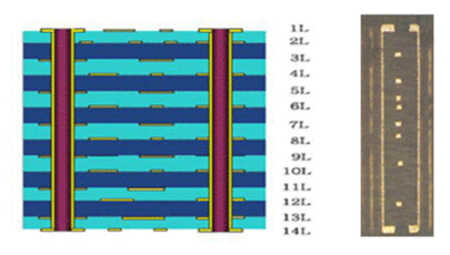 Back Plane Board